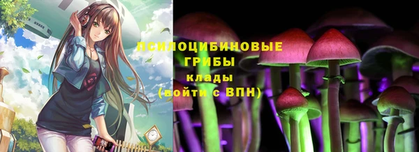 мдма Горнозаводск
