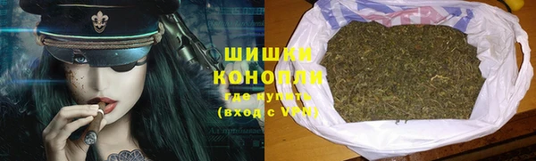 прущая мука Вяземский