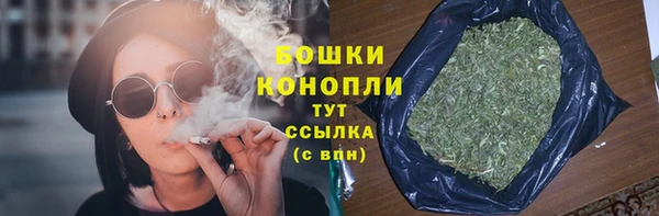 прущая мука Вяземский