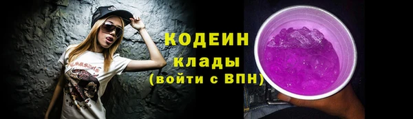 прущая мука Вяземский