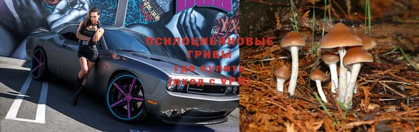 каннабис Вязьма