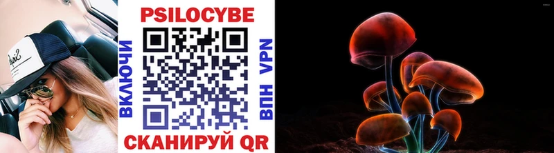 Псилоцибиновые грибы прущие грибы  Звенигород 